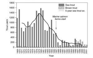 Is salmon farming culpable for the collapse of the Loch Maree sea trout fishery?
